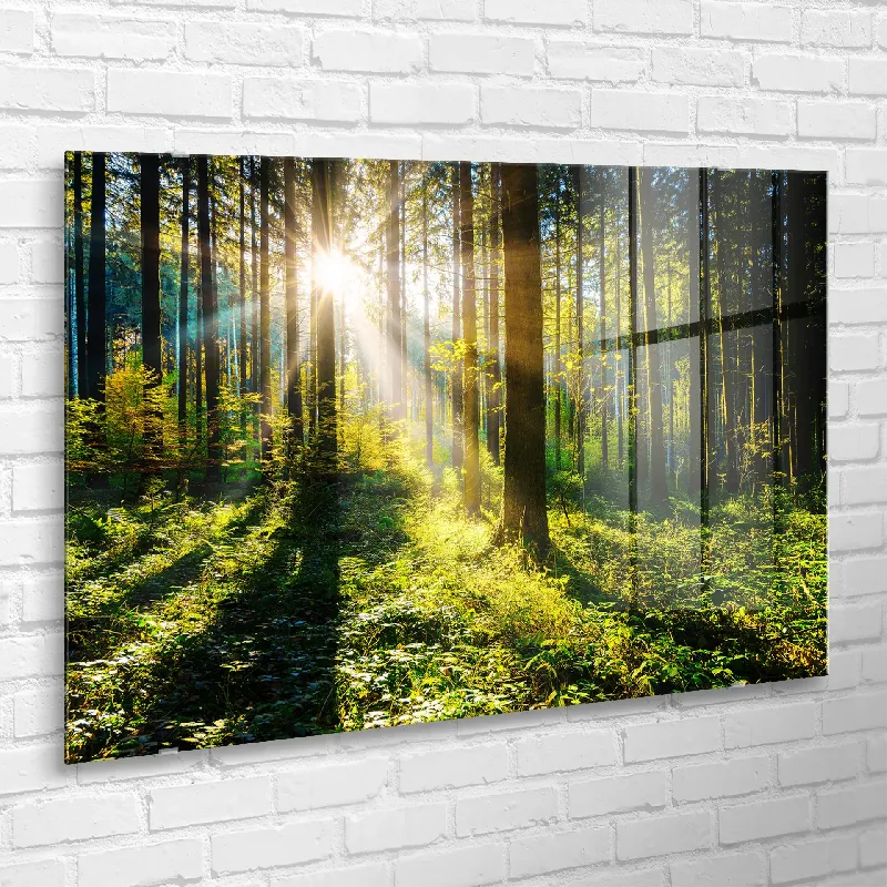 Картина върху стъкло GL404 Sunny Forest , 80x120 см.