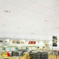 Panels for raster suspended ceilings Retail , 600х600х12 mm