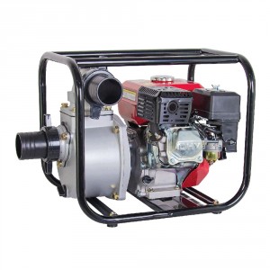 Water pump RD-GWP04 , 4.9 kW , 933 l/min