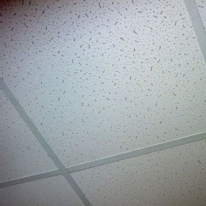 Panels for raster suspended ceilings Filigran Board 600х600х13 мм