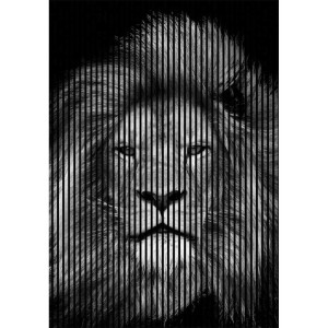 Acoustic panel DPrint 19x1693х2400 mm. , Lion01, 3 pcs.