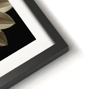 Картина FR569 Cream Dahlia , 30x40 см.