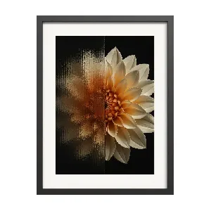 Картина FR569 Cream Dahlia , 30x40 см.