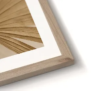 Картина FR559 Dried Palm , 30x40 см.