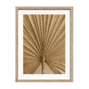 Картина FR559 Dried Palm , 30x40 см.