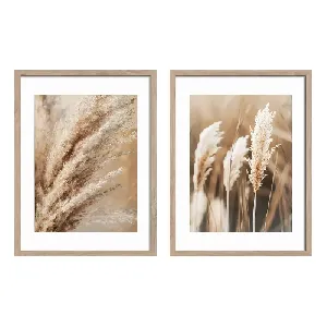Картини сет 2 бр 30x40 см , FR443 Selloana