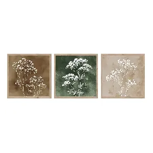 Картини сет 3 бр 30x30 см , FR523 Floral Imprl