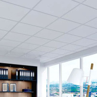 Panels for raster suspended ceilings Adagio HD Finesse , 19х600х1200 мм.